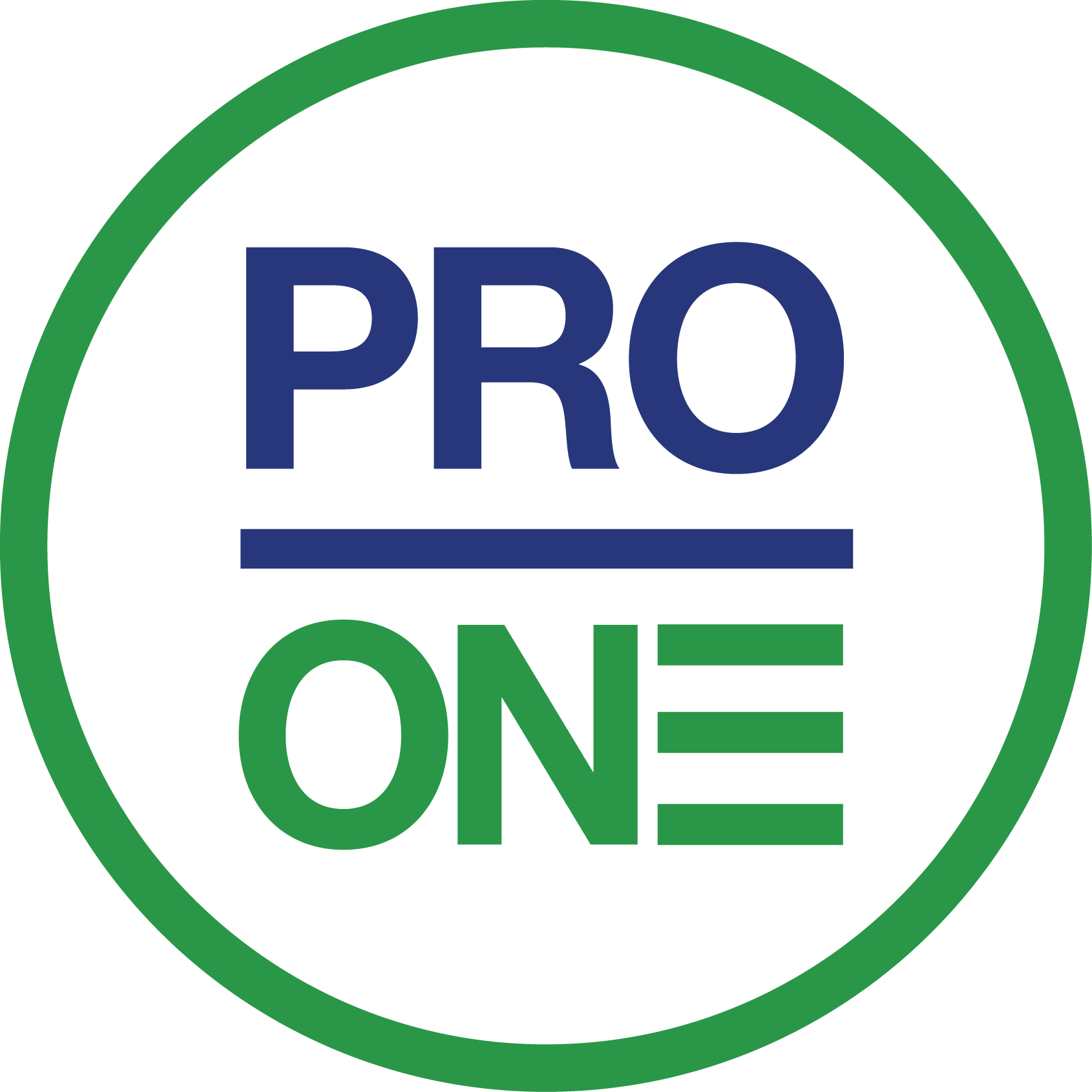 proone solutions consulting co. ltd